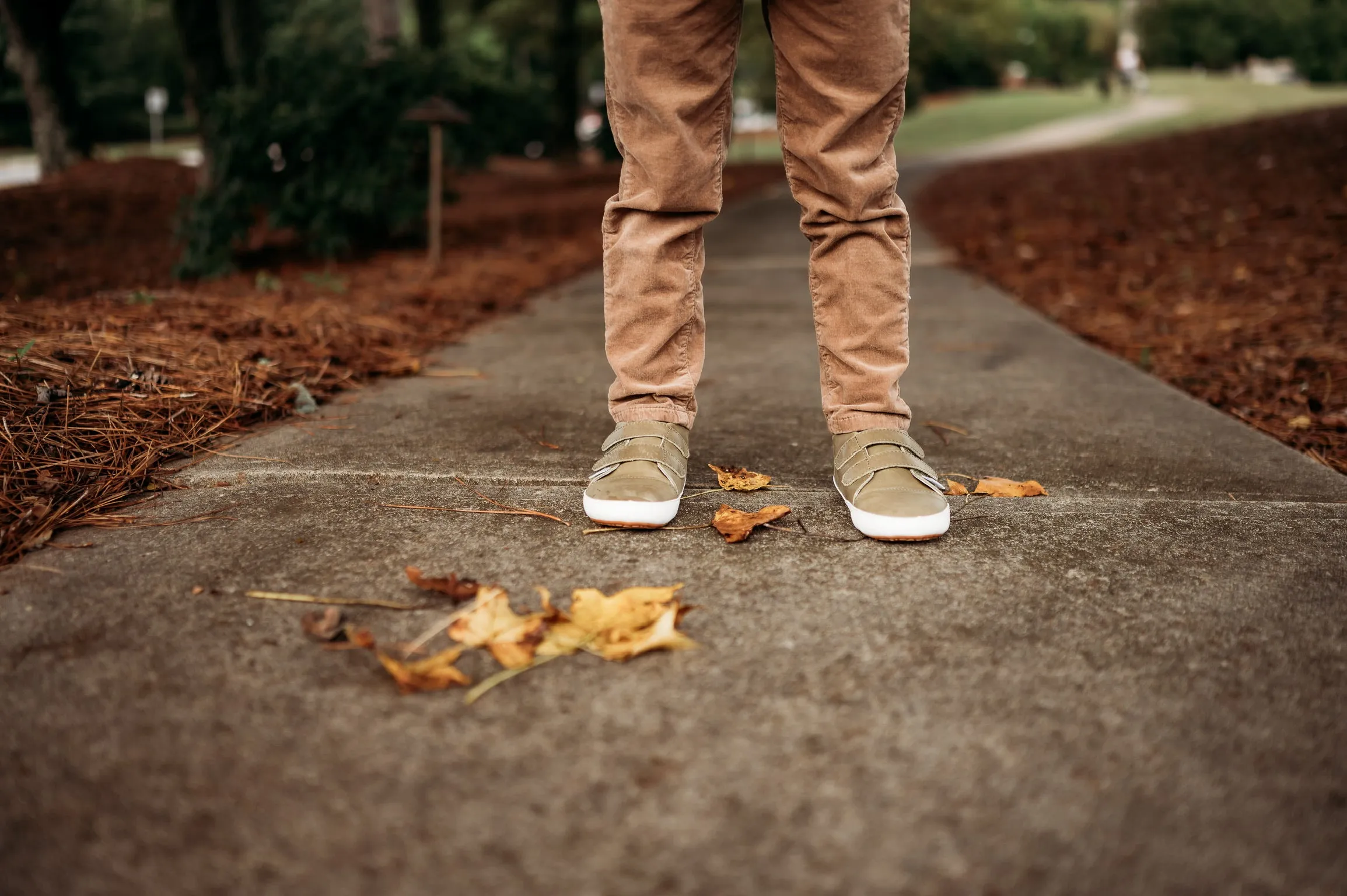 Casual Army Green Low Top {Premium Leather}